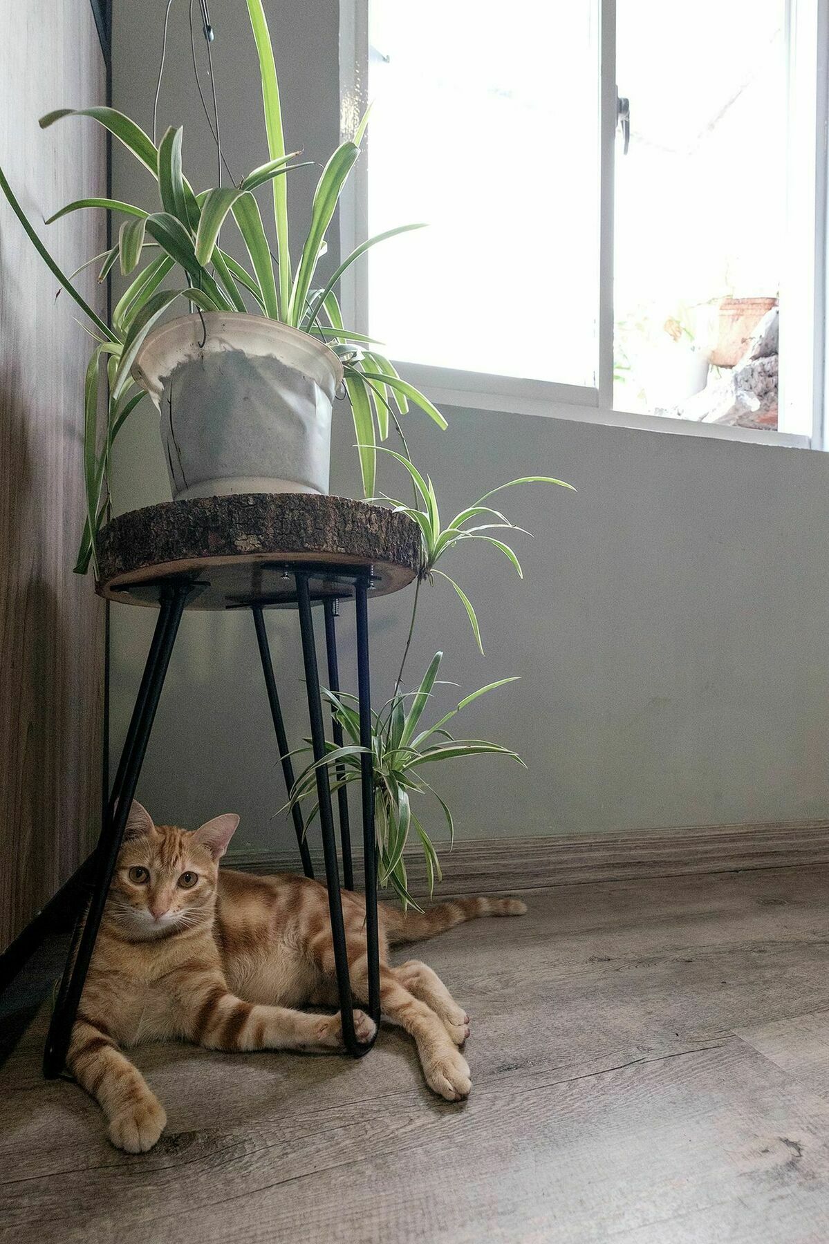 Saigon Inner Home مدينة هوشي منه المظهر الخارجي الصورة